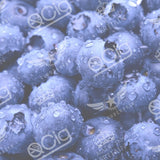 Arctic Blueberry Flavoured Vape E-Liquid - QCig - 60VG / 40PG