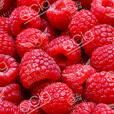 Raspberry Flavoured 10ml Vape E-Liquid - QCig - 60VG / 40PG
