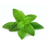 [Quality Vape E-Liquids, CBD Products] - Ecocig Vapour Store